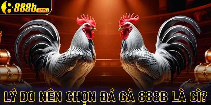 Những lý do anh chị em cược thủ nên chọn lựa sàn đặt đá gà 888b là gì?